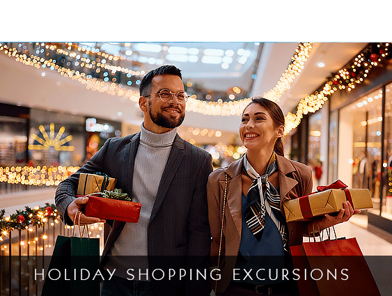 Pinellas Christmas Holiday Shopping Tours Transportation, Shopping Limo Services