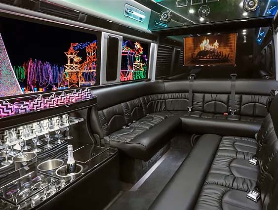 Tampa Christmas Holiday Light Tours