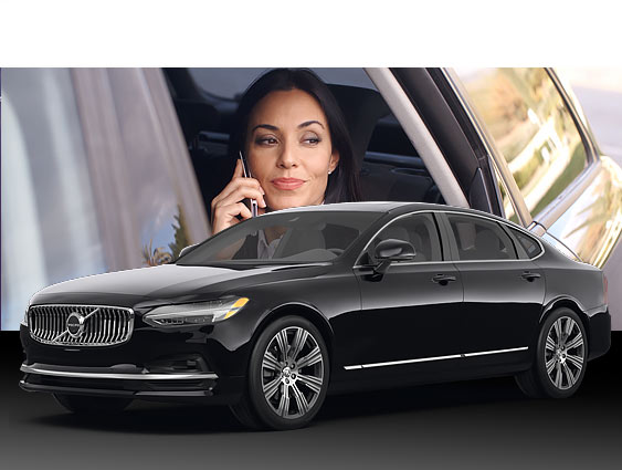 Tampa Executive Car Service Showtime
