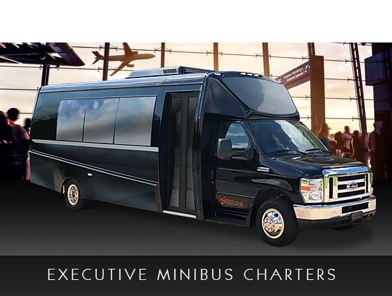 Tampa Minibus Shuttle Transportation Service