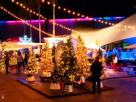 Tampa Christmas Holiday Attraction and Events 2025 