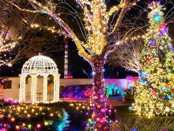 Tampa Botanical Gardens Holiday Lights