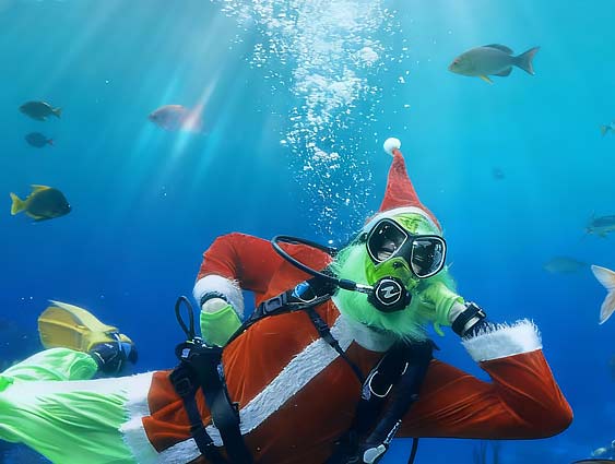 Tampa Christmas Holiday Attraction and Events 2025 